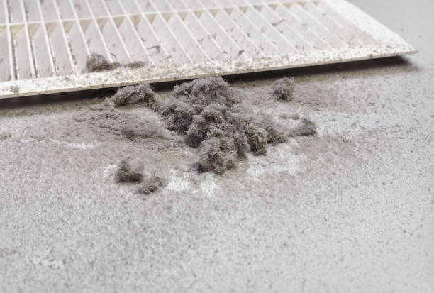Best HVAC System Cleaning  in North Eastham, MA